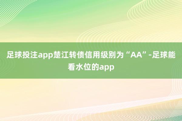 足球投注app楚江转债信用级别为“AA”-足球能看水位的app