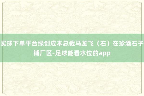 买球下单平台绿创成本总裁马龙飞（右）在珍酒石子铺厂区-足球能看水位的app
