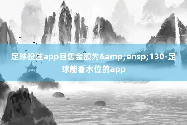 足球投注app回售金额为 130-足球能看水位的app