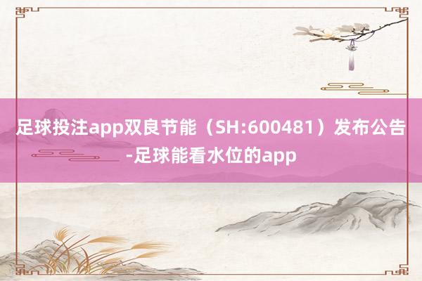 足球投注app双良节能（SH:600481）发布公告-足球能看水位的app