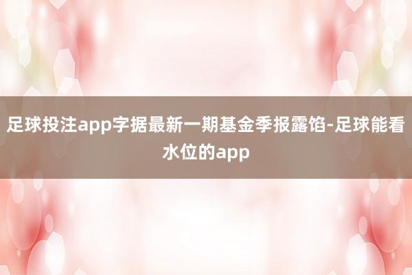 足球投注app字据最新一期基金季报露馅-足球能看水位的app