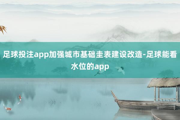 足球投注app加强城市基础圭表建设改造-足球能看水位的app