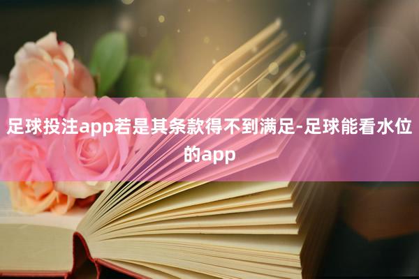 足球投注app若是其条款得不到满足-足球能看水位的app