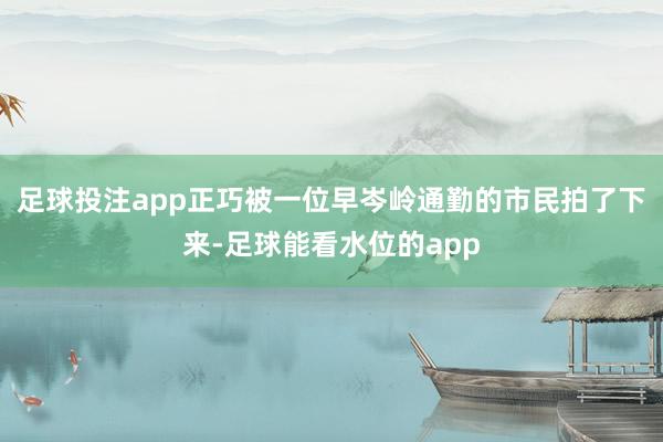 足球投注app正巧被一位早岑岭通勤的市民拍了下来-足球能看水位的app