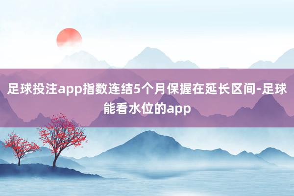 足球投注app指数连结5个月保握在延长区间-足球能看水位的app