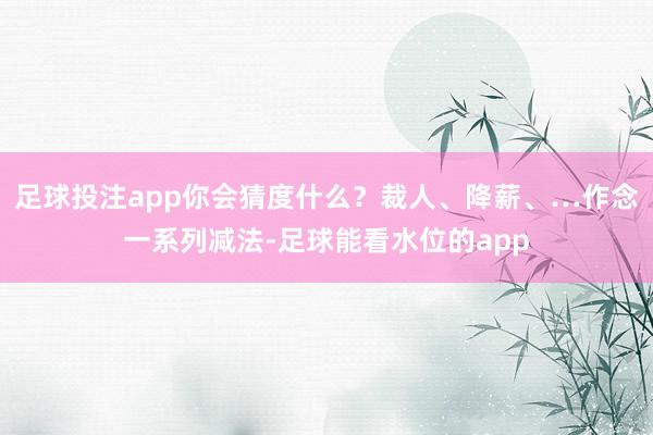 足球投注app你会猜度什么？裁人、降薪、…作念一系列减法-足球能看水位的app