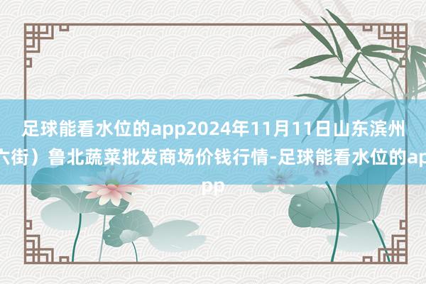 足球能看水位的app2024年11月11日山东滨州(六街)鲁北蔬菜批发商场价钱行情-足球能看水位的app