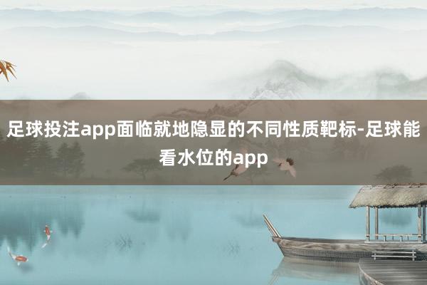 足球投注app面临就地隐显的不同性质靶标-足球能看水位的app