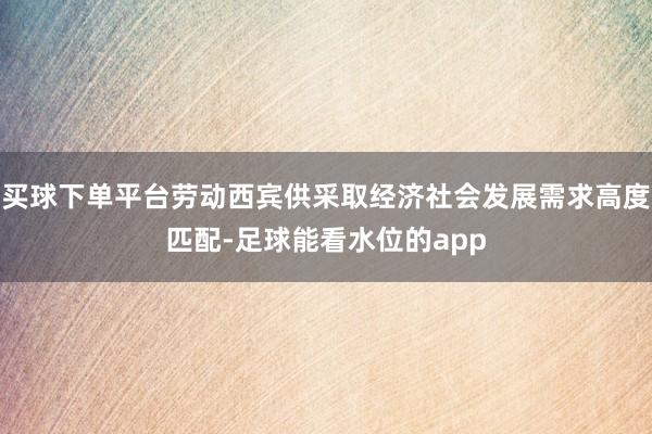 买球下单平台劳动西宾供采取经济社会发展需求高度匹配-足球能看水位的app