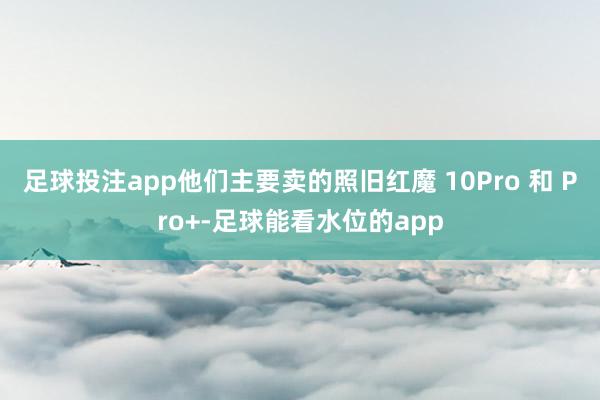 足球投注app他们主要卖的照旧红魔 10Pro 和 Pro+-足球能看水位的app