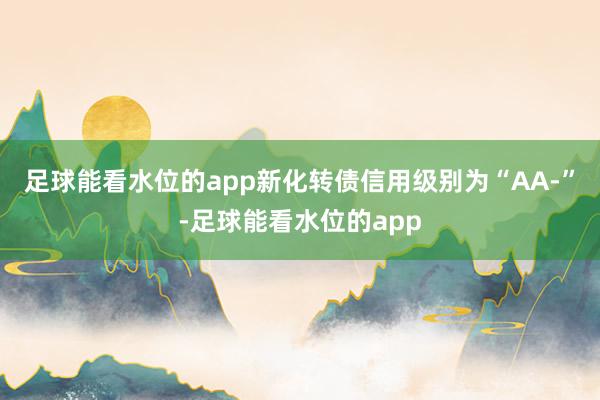 足球能看水位的app新化转债信用级别为“AA-”-足球能看水位的app