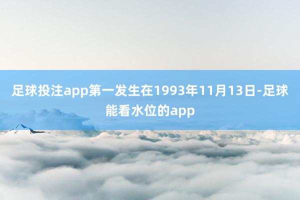 足球投注app第一发生在1993年11月13日-足球能看水位的app
