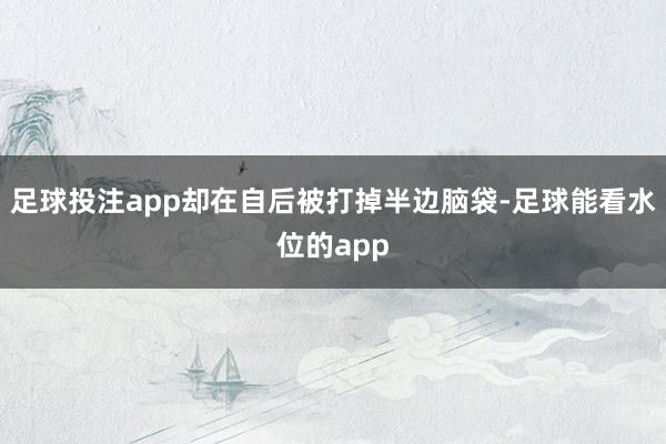 足球投注app却在自后被打掉半边脑袋-足球能看水位的app