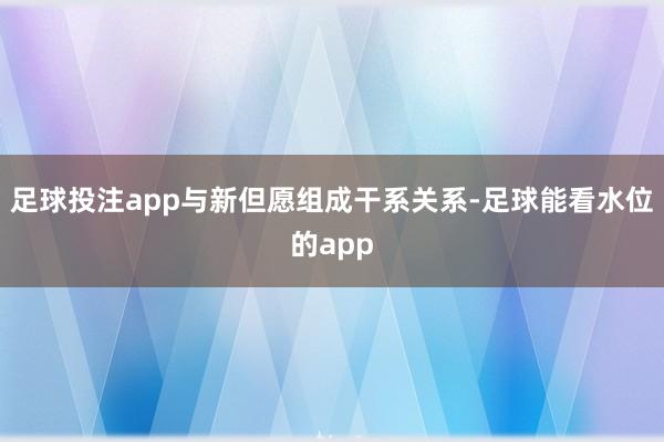 足球投注app与新但愿组成干系关系-足球能看水位的app