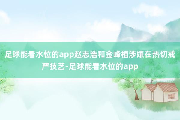 足球能看水位的app赵志浩和金峰植涉嫌在热切戒严技艺-足球能看水位的app