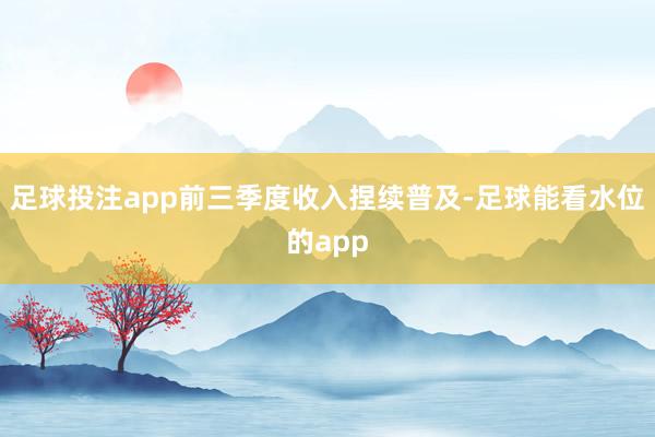 足球投注app前三季度收入捏续普及-足球能看水位的app
