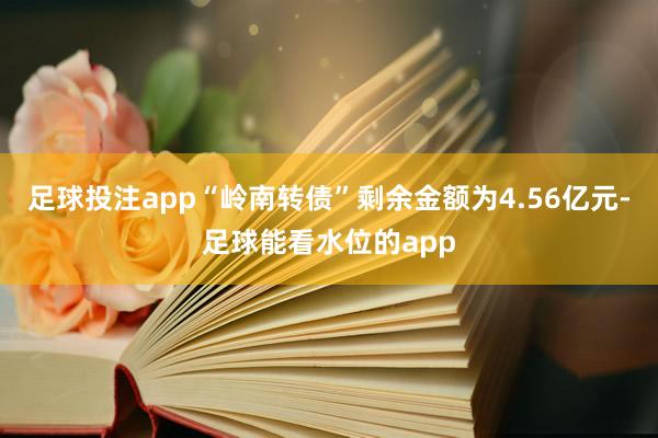 足球投注app“岭南转债”剩余金额为4.56亿元-足球能看水位的app
