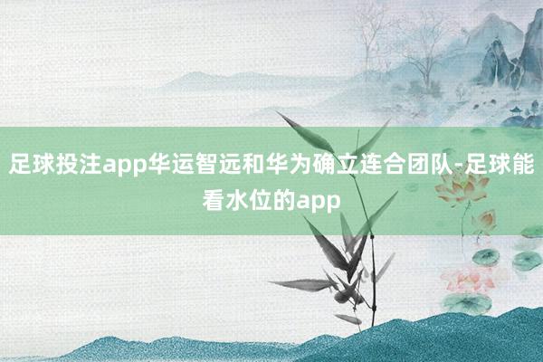足球投注app华运智远和华为确立连合团队-足球能看水位的app