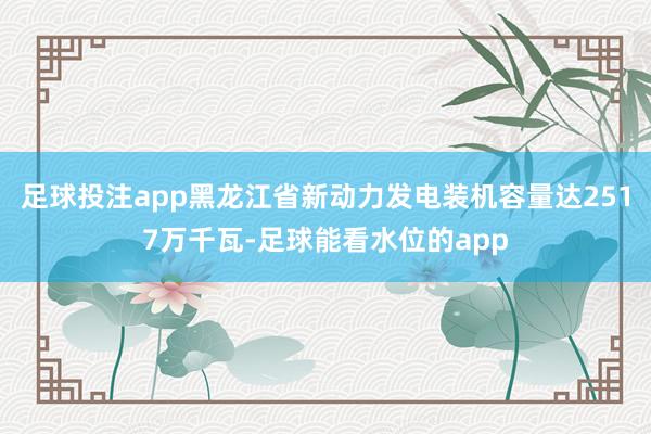 足球投注app黑龙江省新动力发电装机容量达2517万千瓦-足球能看水位的app