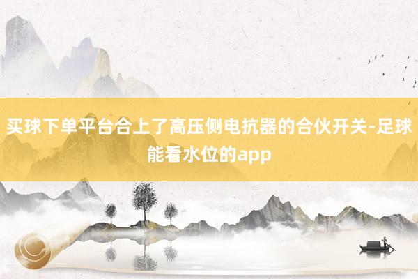 买球下单平台合上了高压侧电抗器的合伙开关-足球能看水位的app