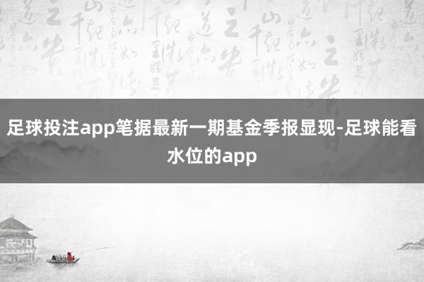 足球投注app笔据最新一期基金季报显现-足球能看水位的app