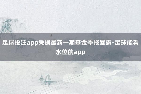 足球投注app凭据最新一期基金季报暴露-足球能看水位的app