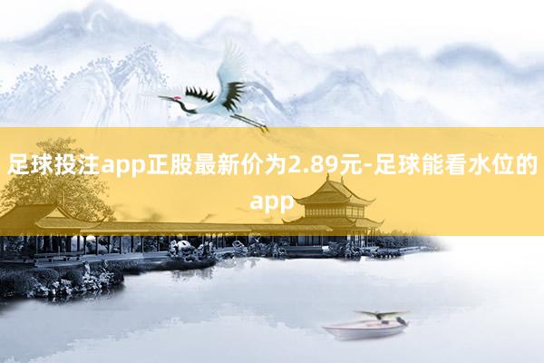 足球投注app正股最新价为2.89元-足球能看水位的app