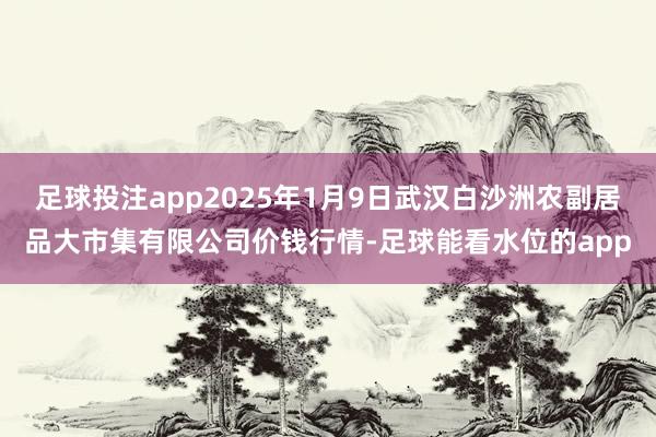 足球投注app2025年1月9日武汉白沙洲农副居品大市集有限公司价钱行情-足球能看水位的app