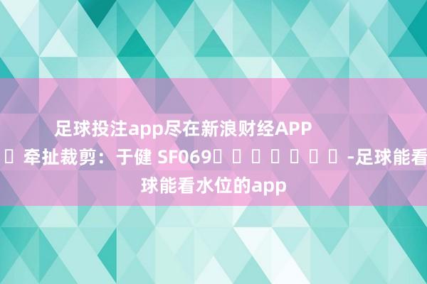 足球投注app尽在新浪财经APP            						牵扯裁剪：于健 SF069							-足球能看水位的app