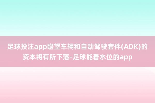 足球投注app瞻望车辆和自动驾驶套件(ADK)的资本将有所下落-足球能看水位的app