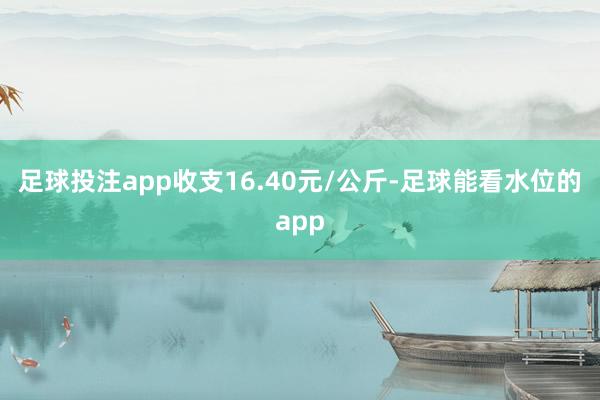 足球投注app收支16.40元/公斤-足球能看水位的app