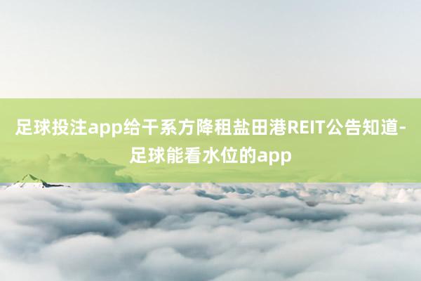 足球投注app给干系方降租盐田港REIT公告知道-足球能看水位的app