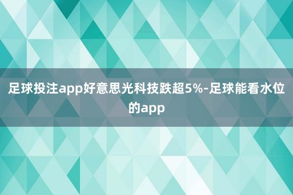 足球投注app好意思光科技跌超5%-足球能看水位的app