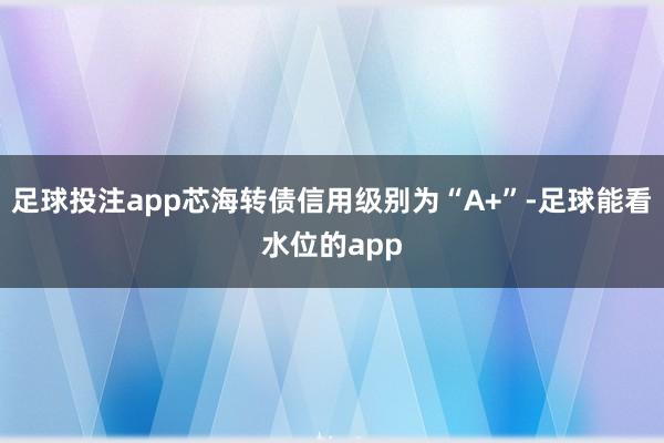 足球投注app芯海转债信用级别为“A+”-足球能看水位的app
