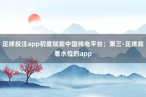 足球投注app初度赋能中国纯电平台；第三-足球能看水位的app