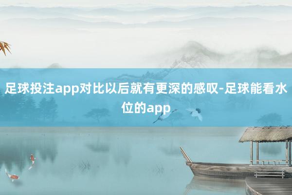 足球投注app对比以后就有更深的感叹-足球能看水位的app