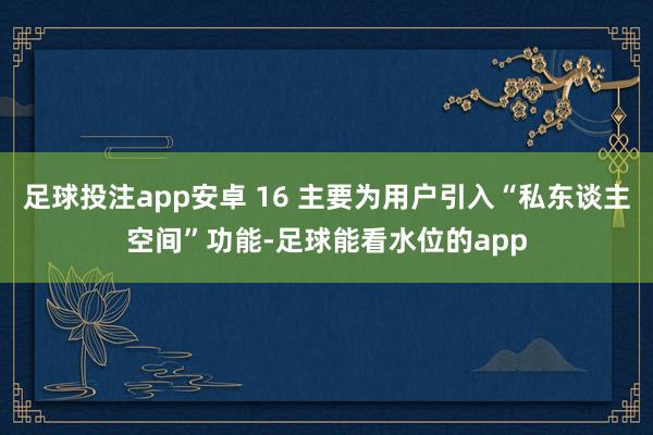 足球投注app安卓 16 主要为用户引入“私东谈主空间”功能-足球能看水位的app