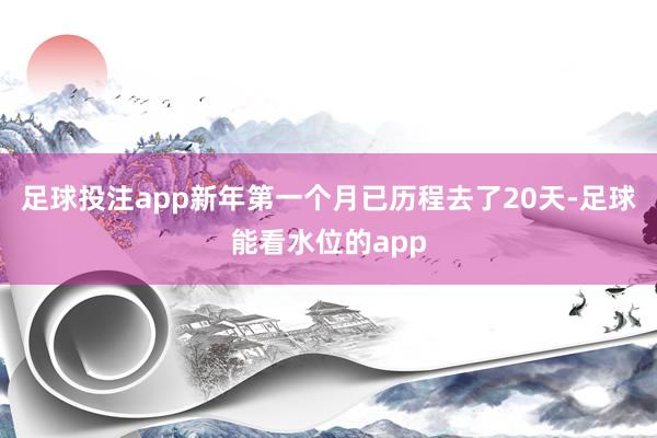 足球投注app新年第一个月已历程去了20天-足球能看水位的app