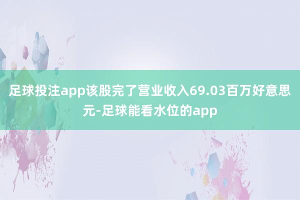 足球投注app该股完了营业收入69.03百万好意思元-足球能看水位的app
