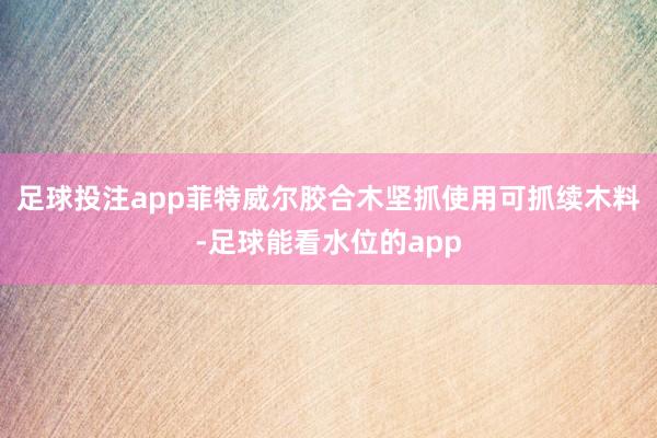 足球投注app菲特威尔胶合木坚抓使用可抓续木料-足球能看水位的app