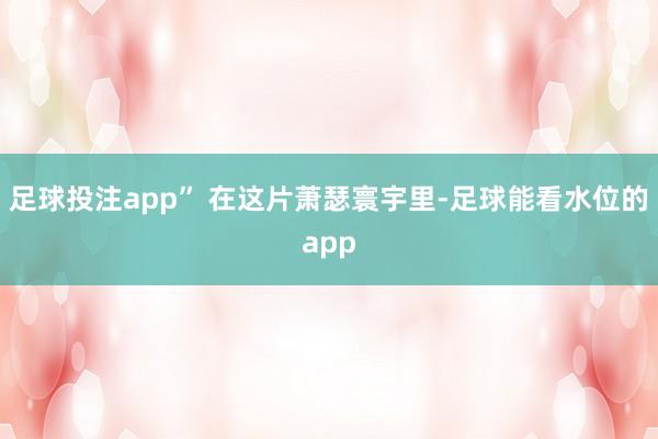 足球投注app” 在这片萧瑟寰宇里-足球能看水位的app