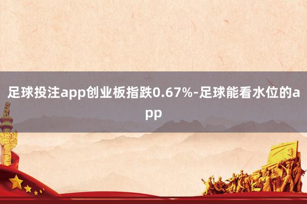 足球投注app创业板指跌0.67%-足球能看水位的app