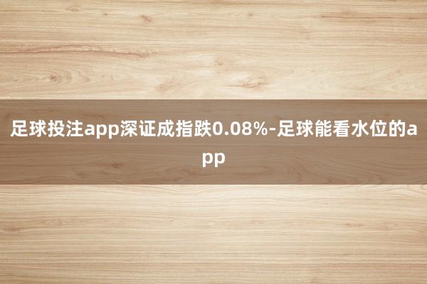 足球投注app深证成指跌0.08%-足球能看水位的app