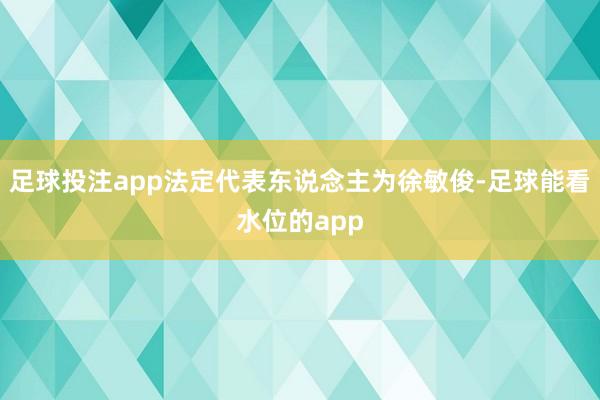 足球投注app法定代表东说念主为徐敏俊-足球能看水位的app