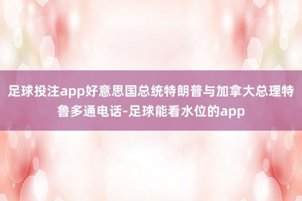 足球投注app好意思国总统特朗普与加拿大总理特鲁多通电话-足球能看水位的app