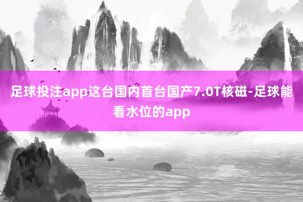 足球投注app这台国内首台国产7.0T核磁-足球能看水位的app