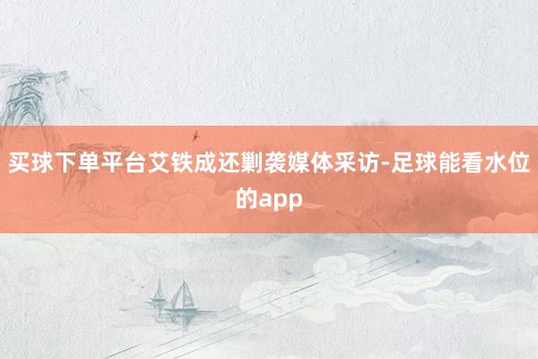 买球下单平台艾铁成还剿袭媒体采访-足球能看水位的app