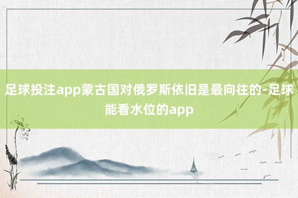 足球投注app蒙古国对俄罗斯依旧是最向往的-足球能看水位的app