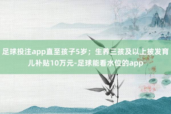 足球投注app直至孩子5岁；生养三孩及以上披发育儿补贴10万元-足球能看水位的app