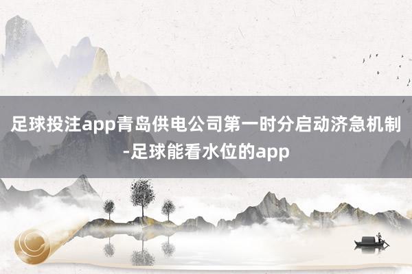 足球投注app　　青岛供电公司第一时分启动济急机制-足球能看水位的app